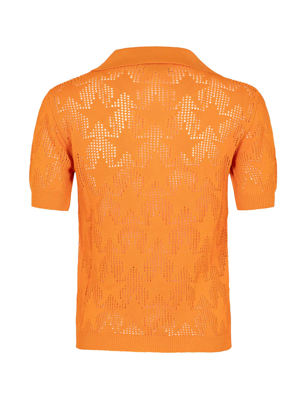 AKEP POLO PLKD09047